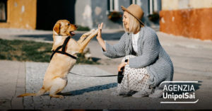 Cura il tuo cane senza pensieri