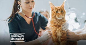 Ti rimborsiamo le spese veterinarie per il tuo gatto
